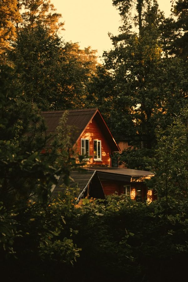 A small house in the trees